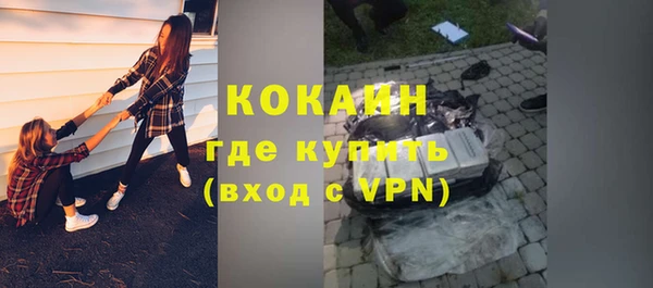 прущие грибы Аркадак