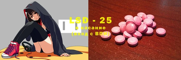 прущие грибы Аркадак