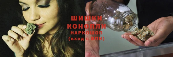 гидра Арсеньев