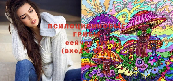 прущие грибы Аркадак