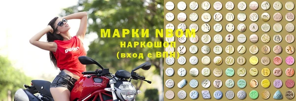 гидра Арсеньев