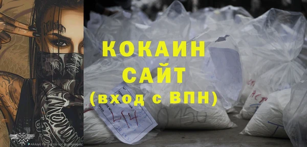 прущие грибы Аркадак