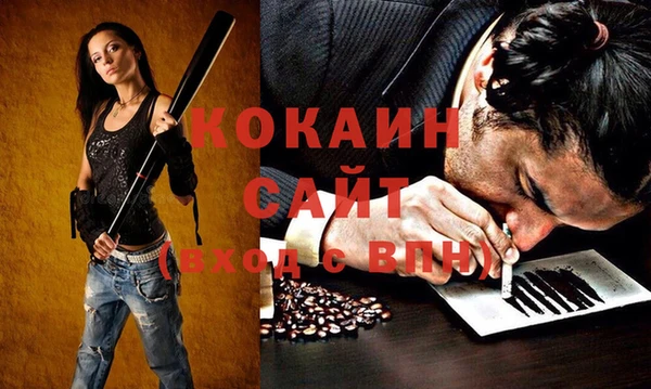 прущие грибы Аркадак