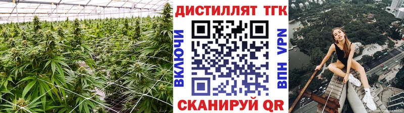 ОМГ ОМГ ссылки Баймак ТГК Wax